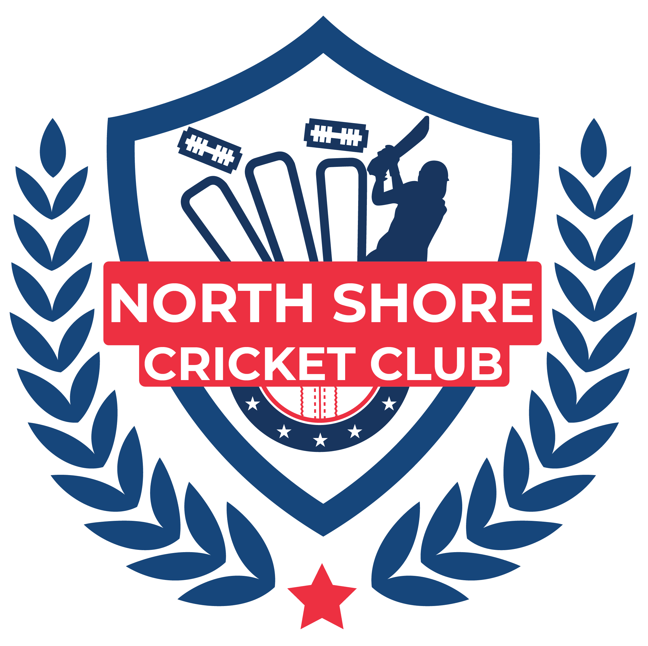 NS Cricket Club 1