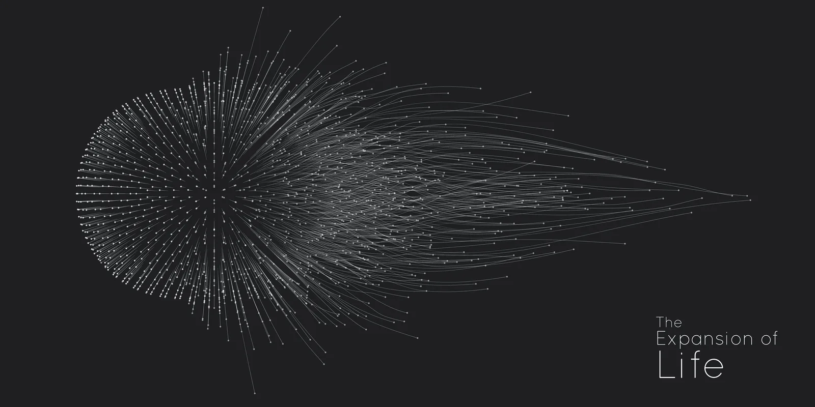 Build and scale online — Muhammad Adil services